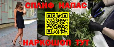 mdpv Краснознаменск