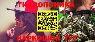 apvp Краснодар