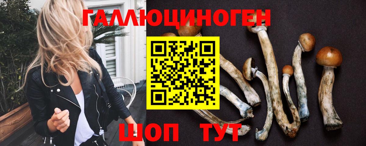 Псилоцибиновые грибы мухоморы Узловая