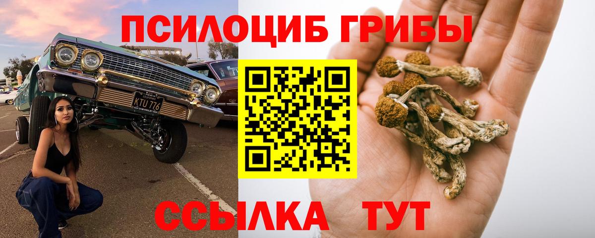 Узловая  Псилоцибиновые грибы Magic Shrooms  Псилоцибиновые грибы GOLDEN TEACHER  Вход с VPN 